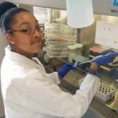Arthritis Institute Summer Internship
